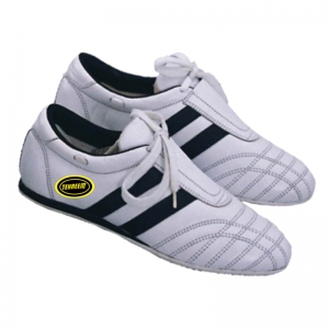 Karate Shoes
